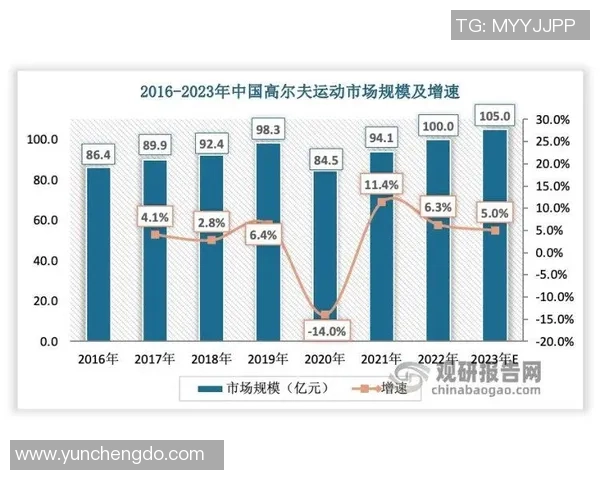 广州排球队战术分析与发展策略探讨助力球队提升竞技水平